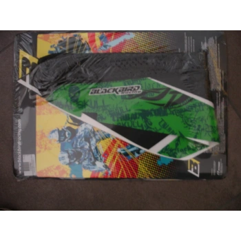 blackbird_kawasaki